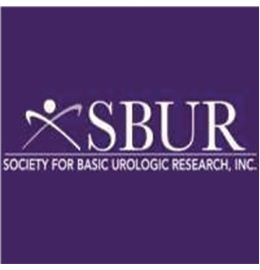 Society of Basic Urology Research