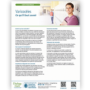 Image of the Varicoceles Fact Sheet in French