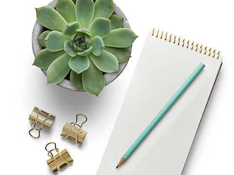 Image of succulent, binder clips and notepad/pencil