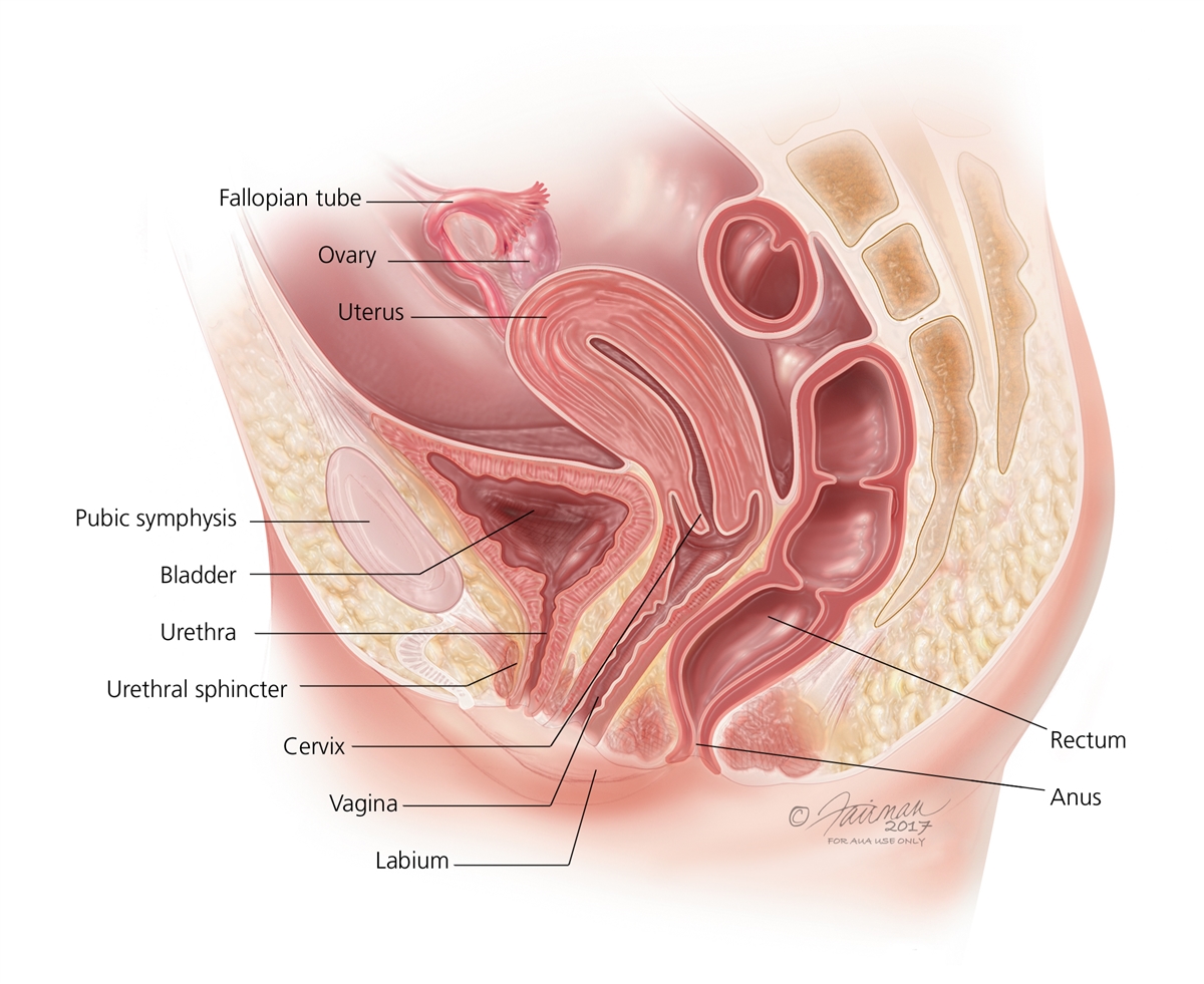 Urethra reroute