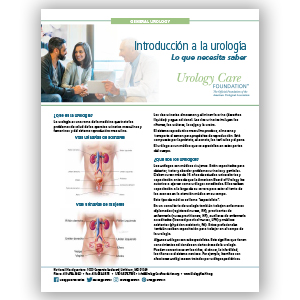 Spanish Intro to Urology Fact Sheet