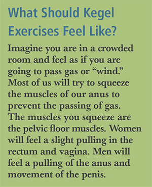 Kegel muscles male strengthen How to