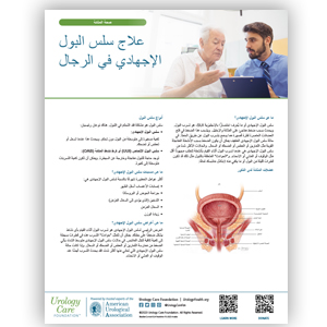 Arabic Treating SUI in Men