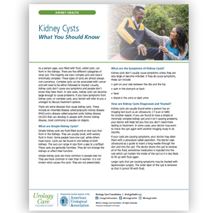 Kidney Cysts - What You Should Know Fact Sheet
