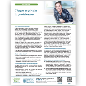 Spanish Testicular Cancer: What You Should Know Fact Sheet