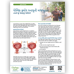 Gujarati Pelvic Floor Strengthening What You Should Know Fact Sheet
