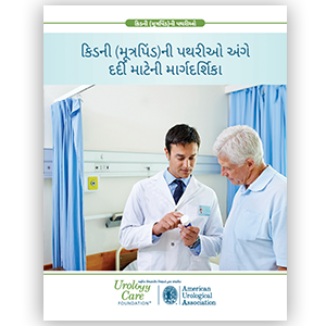 Gujarati Kidney Stones Patient Guide