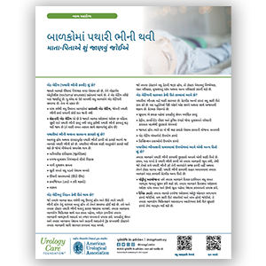 Gujarati Bedwetting – What Parents Should Know Fact Sheet
