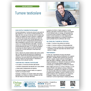 Italian Testicular Cancer Fact Sheet