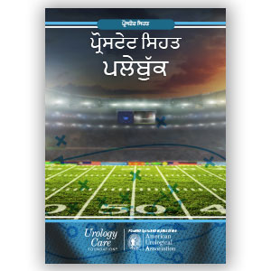 Punjabi Prostate Health Playbook