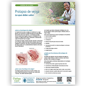 Spanish Bladder Prolapse What You Should Know Fact Sheet