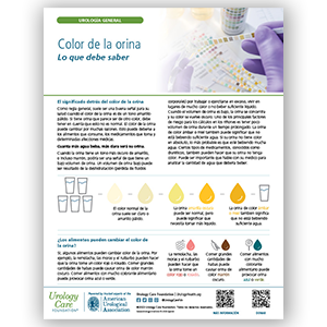 Spanish Urine Color What You Should Know Fact Sheet