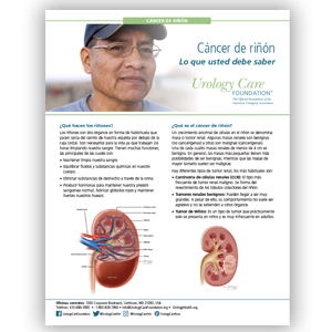 Spanish Kidney Cancer What You Should Know