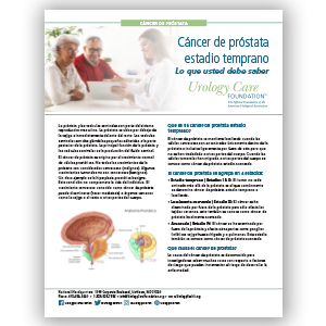 Spanish Early-Stage Prostate Cancer What You Should Know