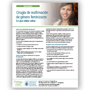 Spanish Adult Feminizing Gender-Affirming Surgery: What You Should Know