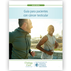 Guía para pacientes con cáncer testicular