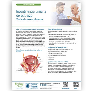 Spanish Stress Urinary Incontinence - Treatment for Men