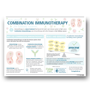 Combination Immunotherapy for Kidney Cancer