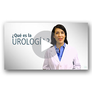 Introducción a la Urología